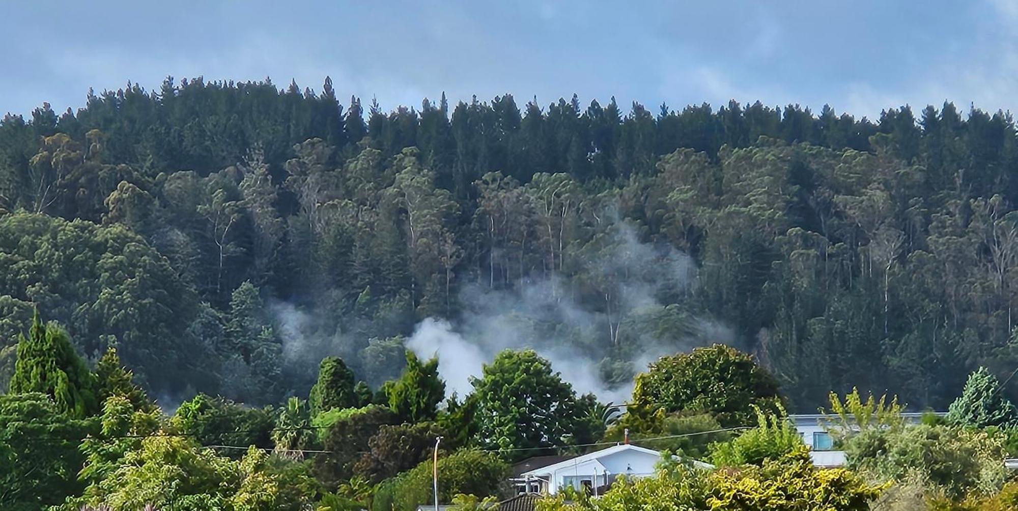 Redwood Apartments Rotorua Bagian luar foto
